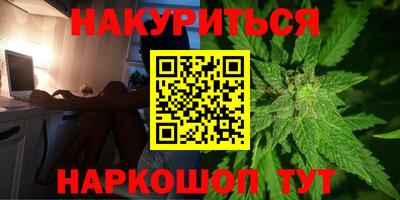сатива Можга