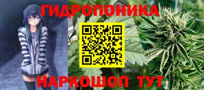 сатива Можга