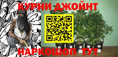 сатива Можга