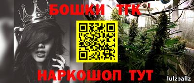 крисы Можайск