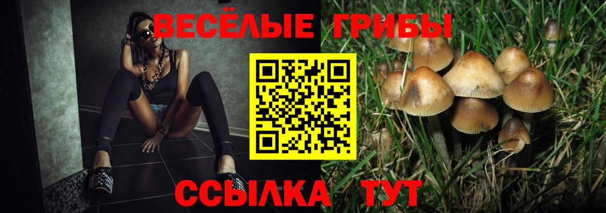 Галлюциногенные грибы ЛСД Феодосия